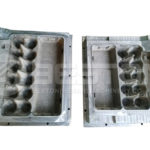 Egg Carton Mold