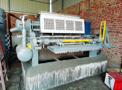 Finding the Right Egg Tray Machine