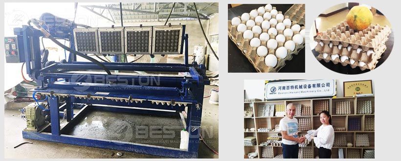 Egg Tray Making Machine To Philippines